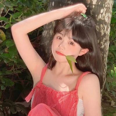 决战平安京海外服下载